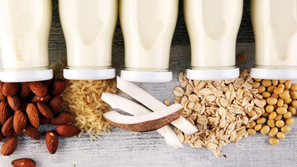 Conheça os tipos de leite vegetal e veja dicas para o seu consumo