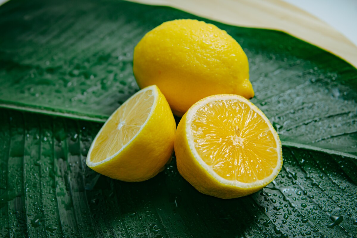 receitas com limão siciliano
