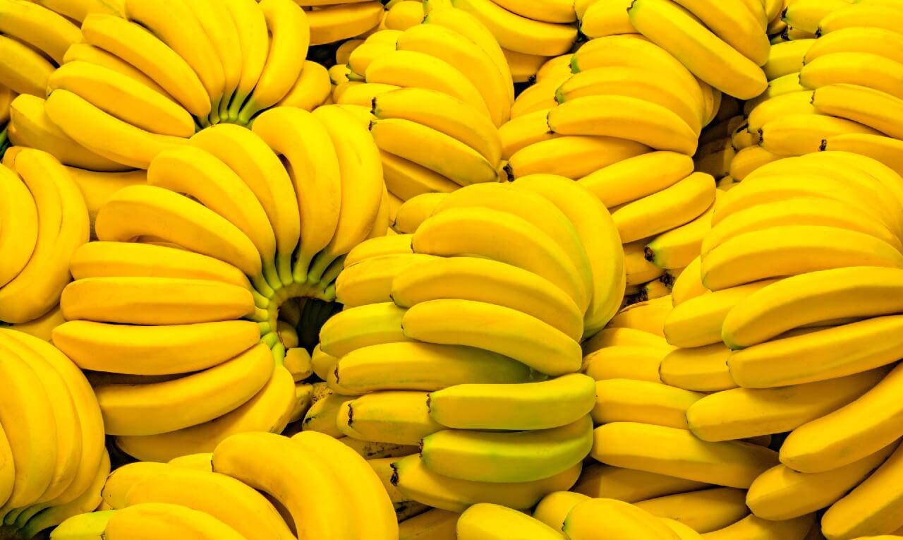 Várias bananas em foto ilustrativa