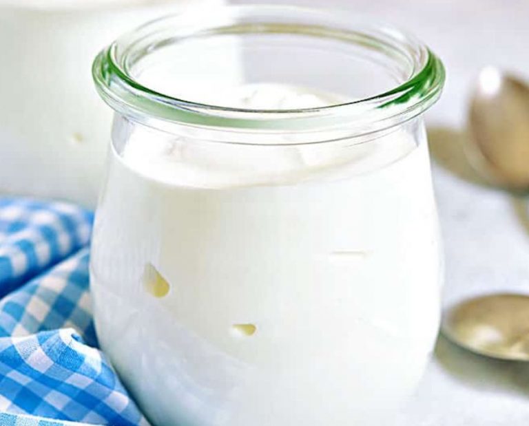 Iogurte natural sem lactose para o café da manhã