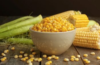 Confira quantas receitas é possível fazer com o milho