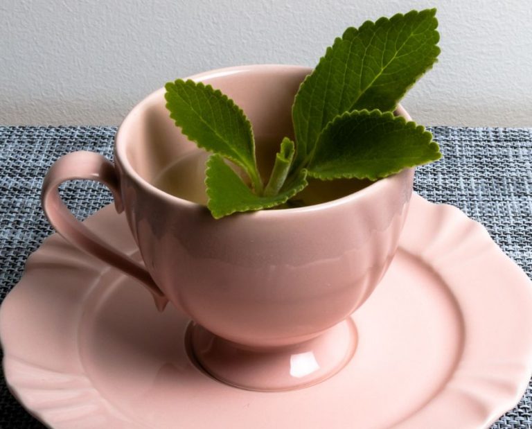 Aprenda como fazer e quais os benefícios do chá de boldo