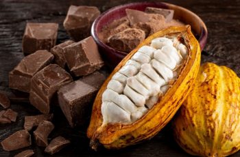 Conheça o processo de fabricação do chocolate e benefícios no Dia do Cacau