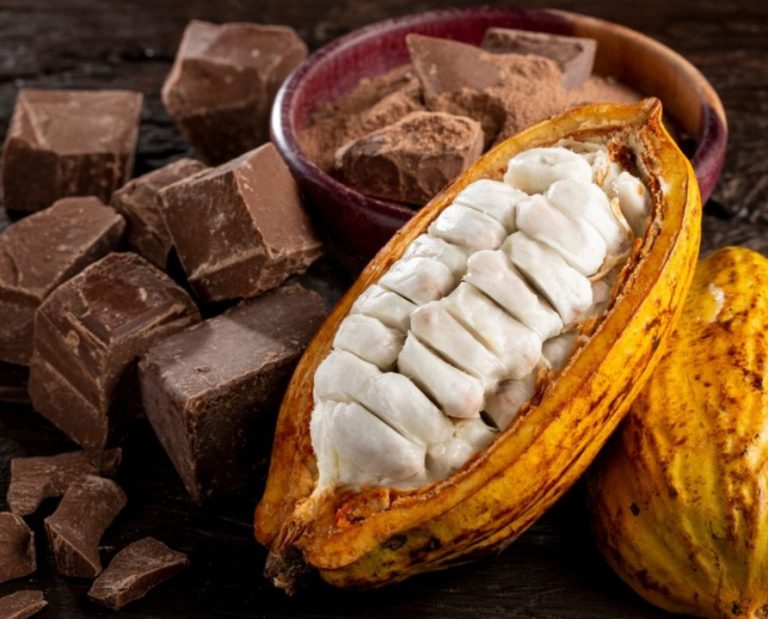 Conheça o processo de fabricação do chocolate e benefícios no Dia do Cacau